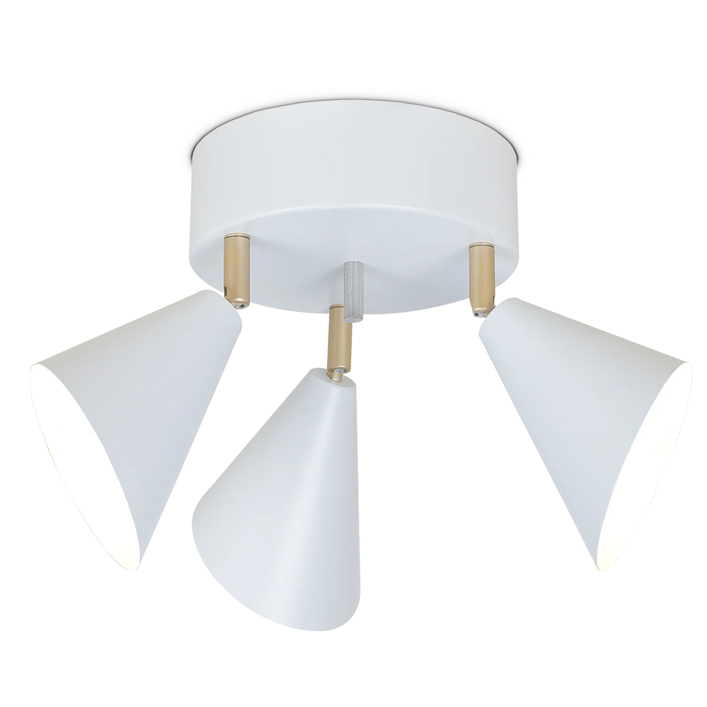 Pikkukuva 1
